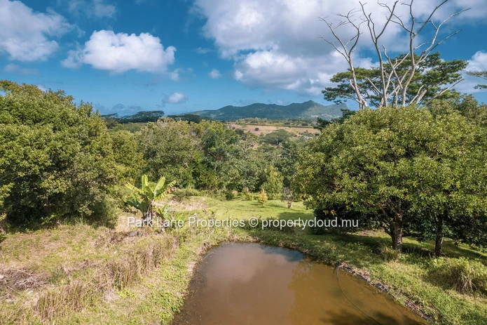 Beautiful Plot Surrounded by Nature next to River