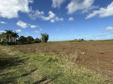 Terrain Agricole