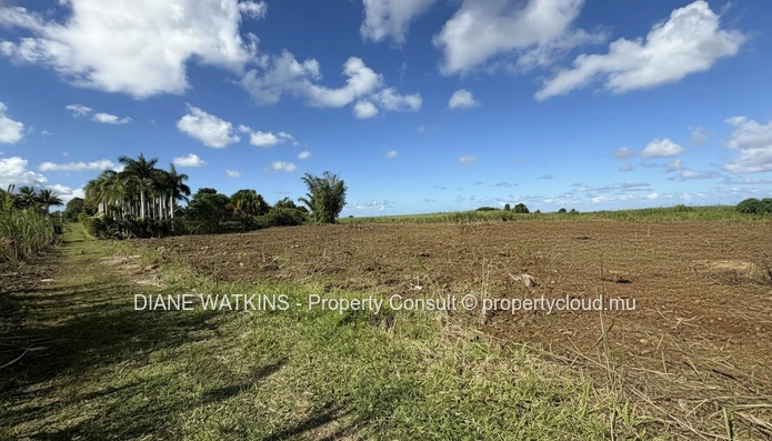 Terrain agricole exceptionnel à vendre – Deux Bras, île Maurice | 4 693 m²