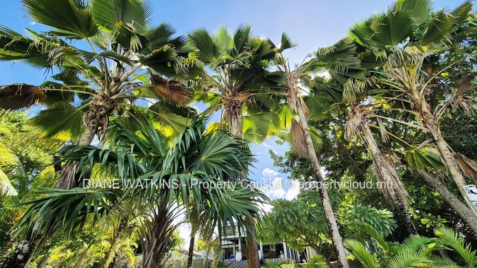 Domaine en front de mer à vendre à Riambel – Propriété de luxe face à l'océan et opportunité d'investissement clé en ...