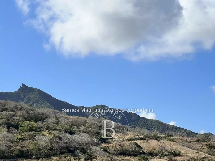GRAND SABLE - Agricultural exploitation - 160 37 m²7