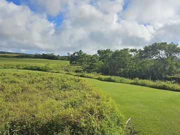 Residential Land