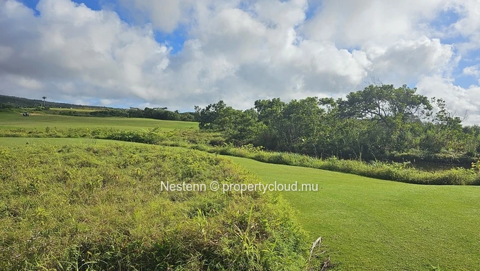 Superbe terrain résidentiel de 4 600 m² 