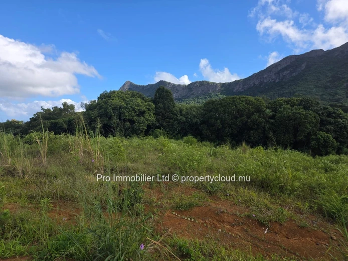 Opportunité exceptionnelle et rare , Terrain résidentiel de 3,678m2 à vendre à Moka 