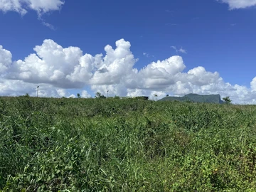 Residential Land