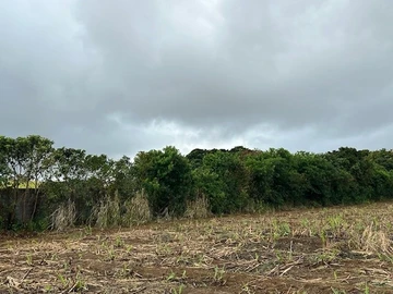 Terrain Agricole