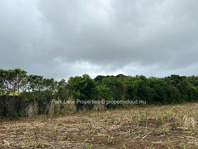 Transformative Potential: Trianon’s Agricultural Land Near Verdun Highway