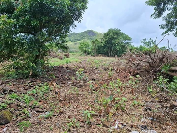 Terrain Agricole