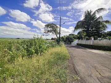 Land