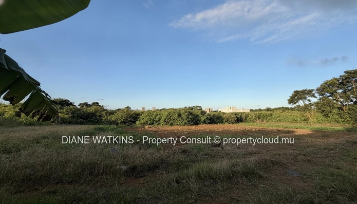 Terrain résidentiel à vendre à Rose Belle, Maurice – 40 perches dans un secteur en plein essor