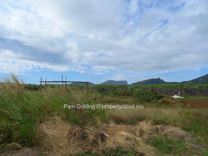 Land for sale in Tamarin.