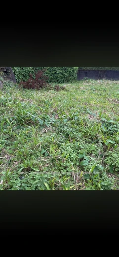 570 m² Land in Eau Coulée — Close to Bus, School & Shops