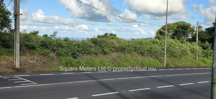 Terres agricoles de premier choix à vendre – Route principale de La Flora (Mandat exclusif)