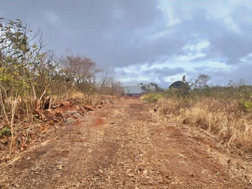 Commercial Land