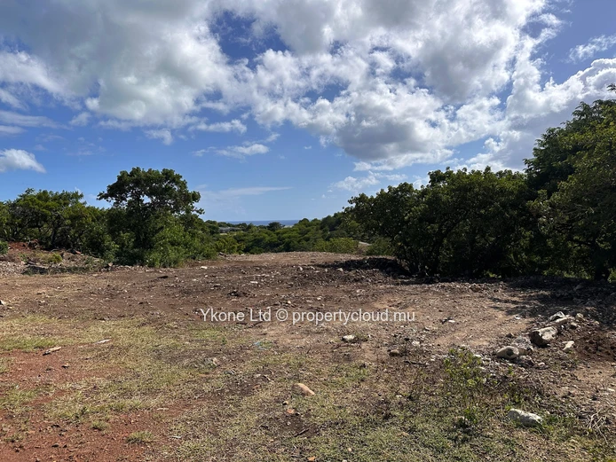 Residential Land For Sale In Black River