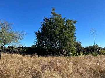 Residential Land
