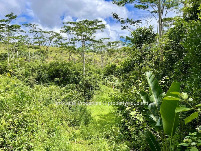 Agricultural land ideal for lodges