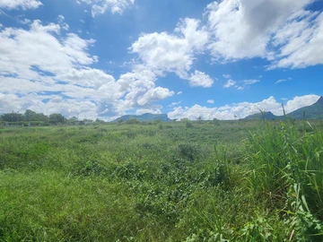 Residential Land