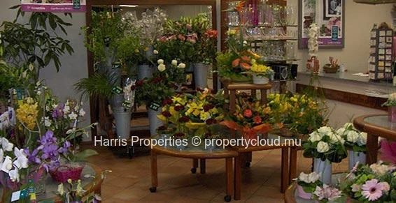 Vends magasin fleuriste