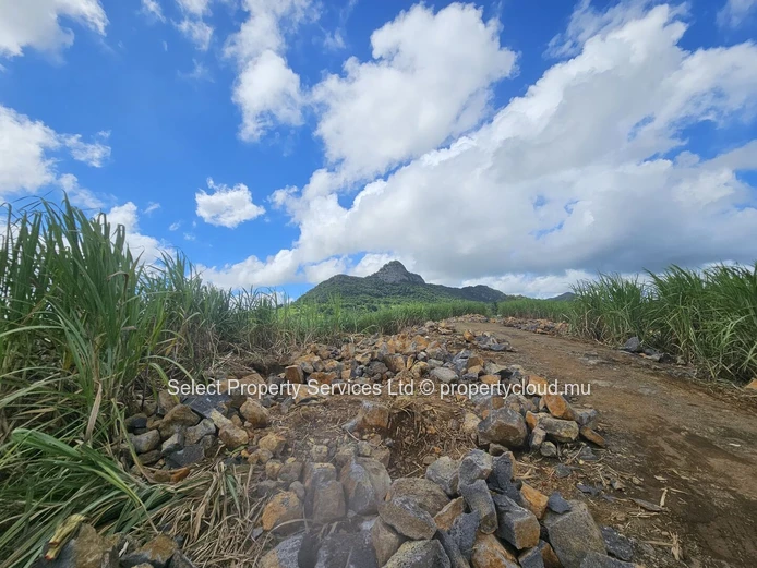 Agricultural Land for Sale - Morcellement - Montagne Blanche