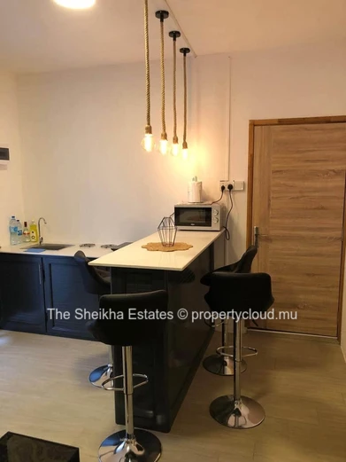 Fully Furnished 2-Bedroom Apartment For Rent – Flic En Flac