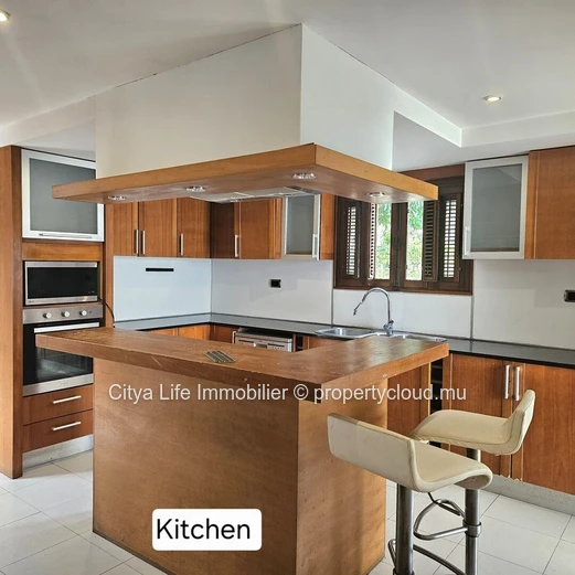 Maison d'architecte avec piscine à vendre à Mapou 380m²