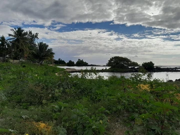 Residential Land