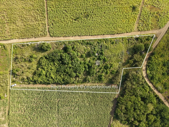 Amazing Opportunity : Plot of land in Mont Mascal