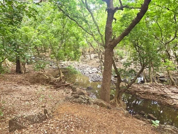 Land