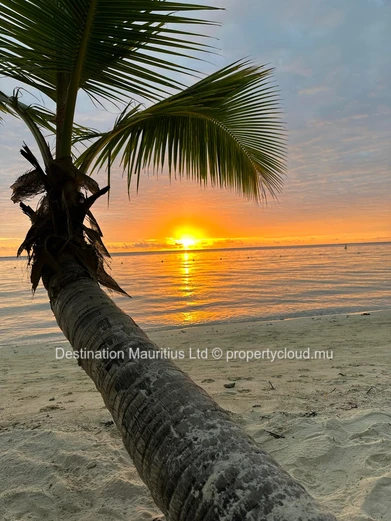 Your Gateway to Paradise Living