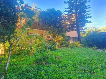 Land