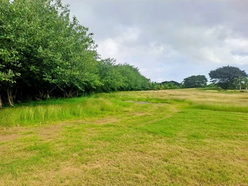 Residential Land