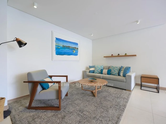 Magnifique  Penthouse au Parc de Mont Choisy 