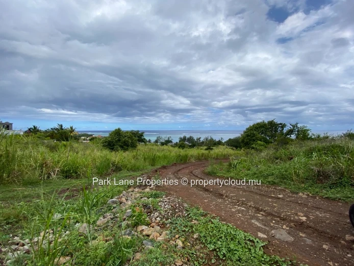 Large plot for future development