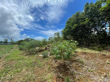 Residential Land