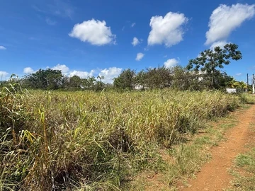 Terrain Commercial