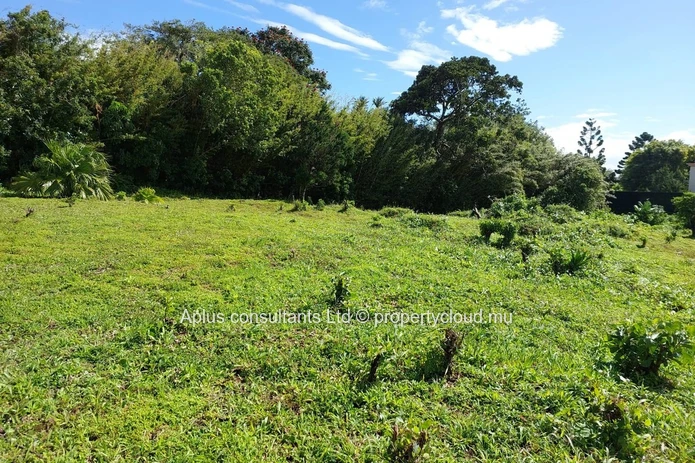 Land For Sale: Large Residential Plot in Floréal, Curepipe – Near Amenities