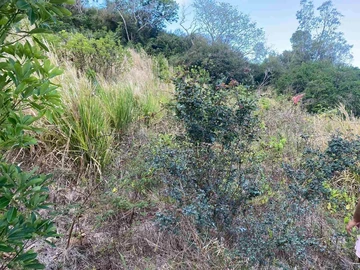 Terrain