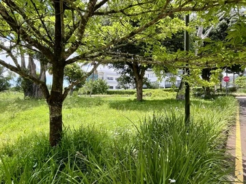 Terrain Commercial