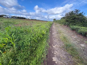 Agricultural Land
