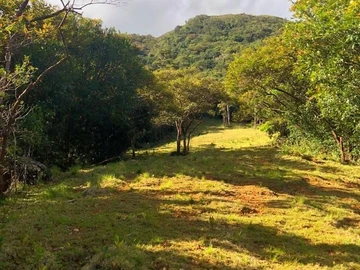 Land