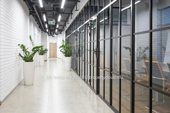Vente des murs d’un bien professionnel avec locataires en place