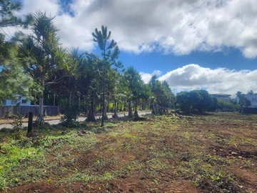 Residential Land