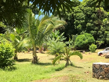 Terrain