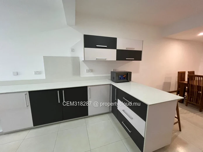 Magnifique appartement flambant neuf de 3 chambres à louer à Rose Hill