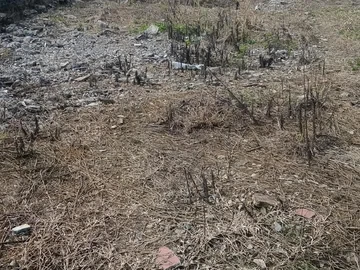 Terrain Résidentiel