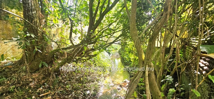 Freehold residential land of 98 toises at Curepipe