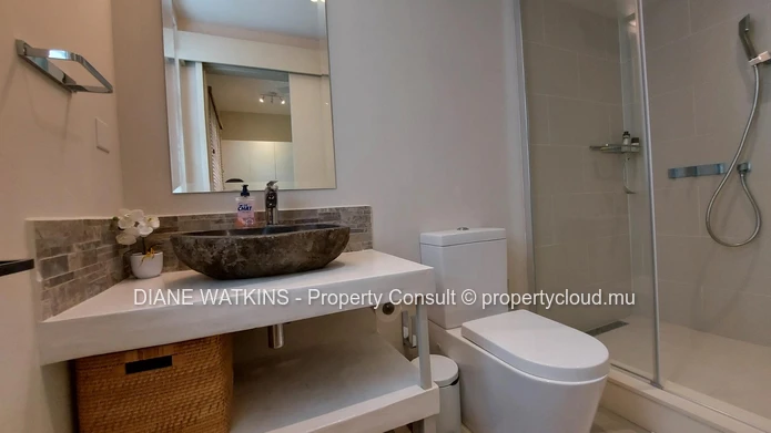 Modern apartment with beach access for rent in Pointe d'Esny