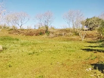 Terrain Agricole