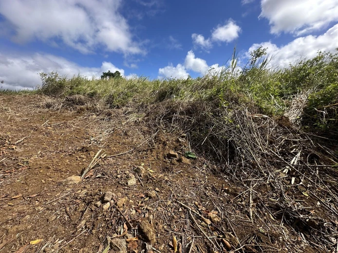 206 perches Agricultural Land for Sale in Providence Quartier Militaire.